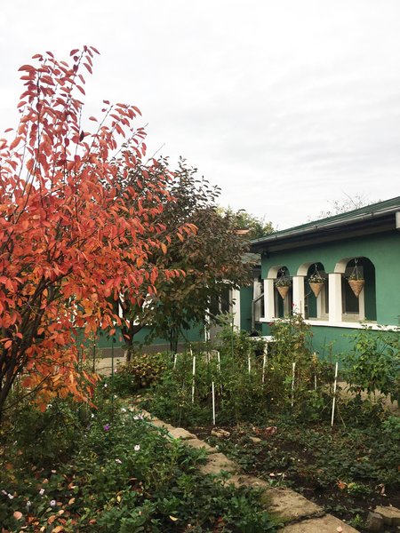 Casa Bucuresti Vand Casa La Curte Din 1967 Cu Modernizari In Anuntul Ro B4q82m